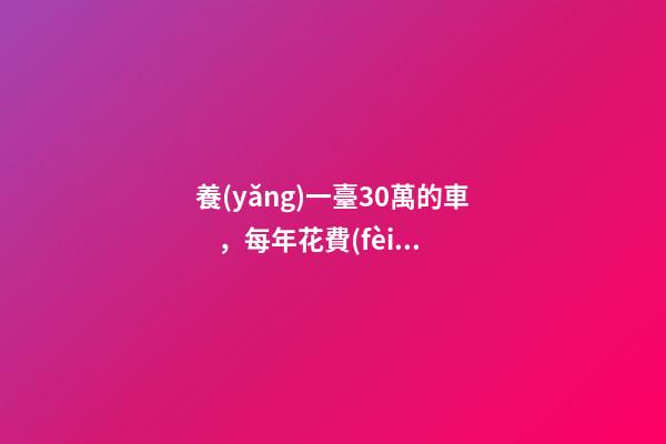 養(yǎng)一臺30萬的車，每年花費(fèi)多少錢？